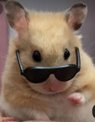 Renasbdhd