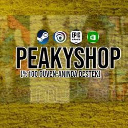 PeakyStore