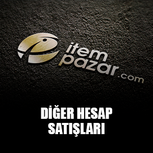 Diğer Hesap Satışları